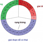 tim-hieu-ben-trong-chu-ky-kinh-nguyet-01